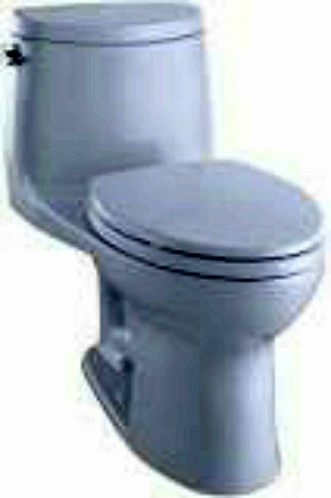 TOTO Ultramax II Toilet Review MS604114CEFG